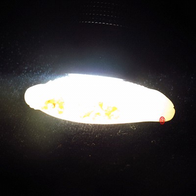【琢藝軒】新疆和田玉黃皮羊脂白玉籽玉掛件 金玉滿堂 11克